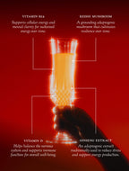 Elixir of Inner Light - Velvet Hammer - Glass of a Inner Light with text about vitamin B12, reishi mushroom, vitamin D, and ginseng extract on a red background.